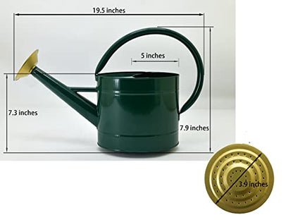 1.3 Gallon Jade Green Metal Watering Can, Removable Spout - color: Green, size: 1.3 Gallon