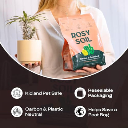 Rosy Soil Cactus & Succulent Potting Mix, 4 Quarts - color: Cactus & Succulent, size: 4 Quarts
