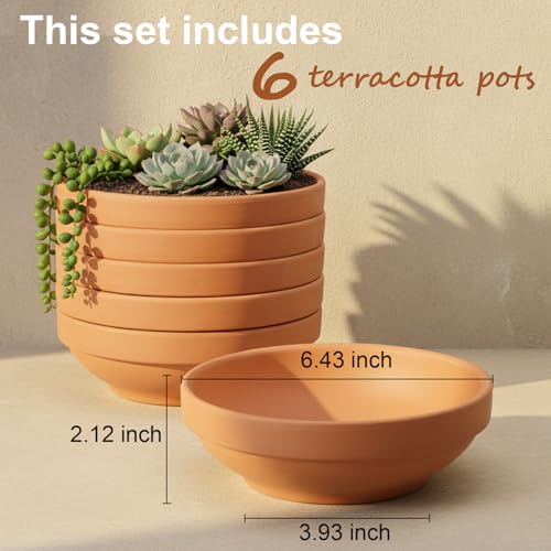 Laerjin Terracotta Pots, 6.43 Inch Shallow Pots with Drainage Hole, 6 Pack - size: 6.43 inch