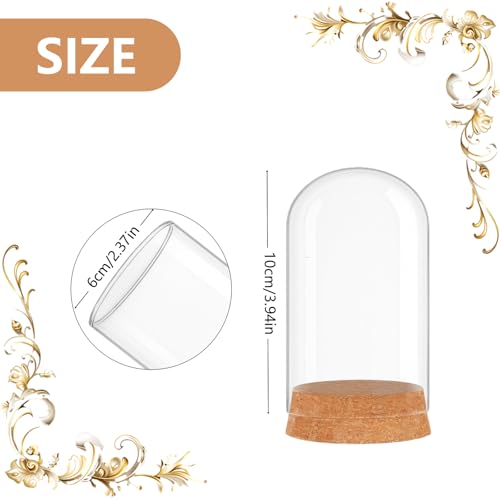 6 Pack Mini Glass Cloche with Cork Base, 2.37x3.94 Clear Bell Jars