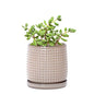 D'vine Dev Beaded Ceramic Pot with Saucer, 4 in, Light Brown, 27-C-Z-4 - color: Light Brown, size: 4.3 Inch