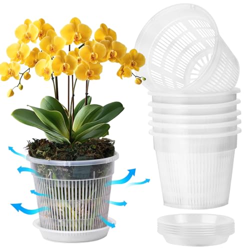T4U Clear Orchid Pots 5.5 Inch 6 Pack, Orchid Pot with Holes Repotting - size: 5.5 Inch, 6 Pack