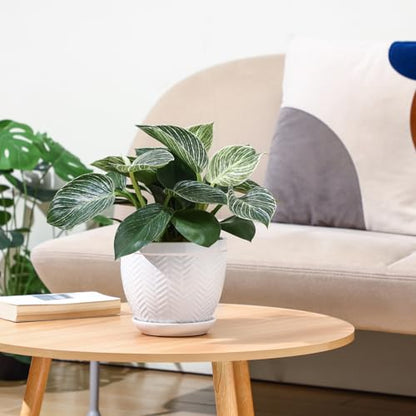 6.5" Ceramic Plant Pots Set of 2, Crisp White Embossed Planters with Saucer - color: White, size: 6.5 inch