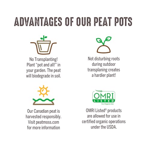Jiffy Biodegradable Peat Pots for Seedlings, 3 Inch, 100 Pack - color: 100 Pots, size: Large
