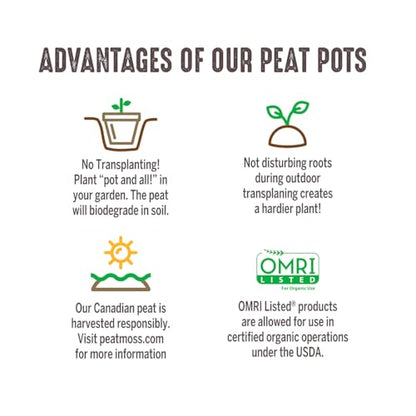 Jiffy Biodegradable Peat Pots for Seedlings, 3 Inch, 100 Pack - color: 100 Pots, size: Large