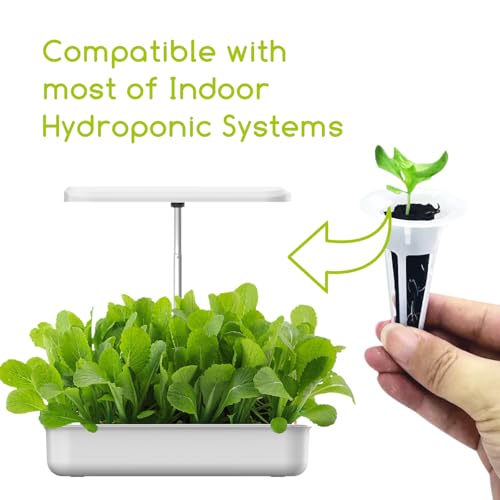 Grow Sponges 50 Pack, 0.94" W*2.56" H