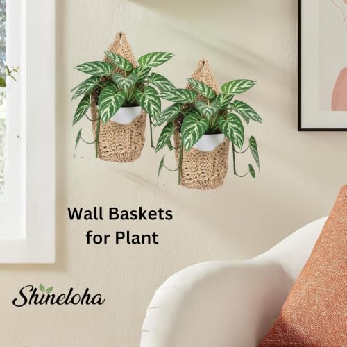 2 Pack Macrame Wall Plant Hanger for 6 inch, Wall Plant Basket - size: Large