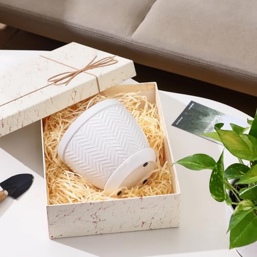 6.5" Ceramic Plant Pots Set of 2, Crisp White Embossed Planters with Saucer - color: White, size: 6.5 inch