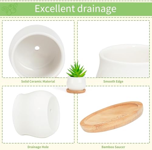 SHECIPIN 2 Pack Succulent Pots, 2.5 Inch Mini Ceramic Pots for Flower or Cactus Plants with Drainage Hole,Plants Not Included (White) - color: 2 Pack White Mini Pots