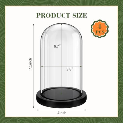 Suclain 4Pc Glass Dome Cloche with Wood Base, Black, 6.7" X 3.8" - color: Black, size: 6.7" X 3.8"