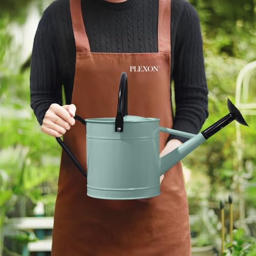 Plexon Metal Watering Can Outdoor 1 Gallon, Flower Plant Gardening Garden Large Watering Can Pot, Black Galvanized Steel Handles and Removable Spray Spout, Aqua Mist Blue - color: Aqua Mist Blue