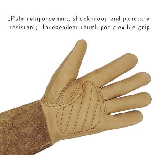 [Clearance promotion] Long Gardening Gloves for Women/Men-Thorn Proof Rose Pruning Gloves, Leather work Gauntlet - size: Large