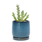 D'vine Dev Beaded Ceramic Pot with Saucer, 4 in, Ocean Teal, 27-C-Z-8 - color: Ocean Teal, size: 4.3 Inch