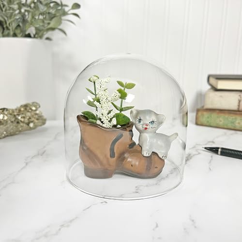 Plymor 4" x 4" Glass Display Dome Cloche (no Base) - color: No Base