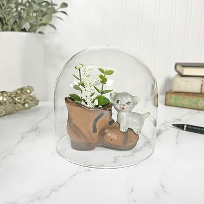 Plymor 4" x 4" Glass Display Dome Cloche (no Base) - color: No Base
