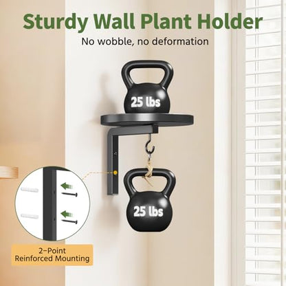 LASZOLA Plant Hanger Holder Shelf Wall Indoor with Lights, 2 Pcs Black - color: Black, size: 2
