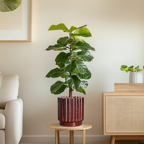 Ceramicfor Ceramic Plant Pot, 7.6 Inch, Red - color: Leopard Print Red, size: 7.6 Inch