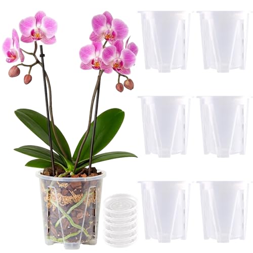 Orchid Pot 6 Pack 4.7 Inch Clear Nursery Pots for Plants with Drainage Hole - size: 4.7 Inch