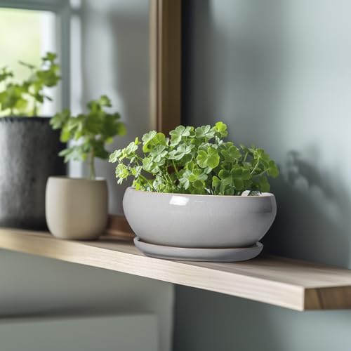 SQOWL Bonsai Tree Pots, 8 Inch Ceramic Plant Pots with Saucer, Gray - color: Gray, size: 8 Inch