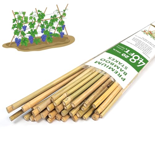 GAGINANG Natural Bamboo Garden Stakes, 4.8FT Trellis Plant Support 20Pcs - size: 4.8Ft,Pack of 20