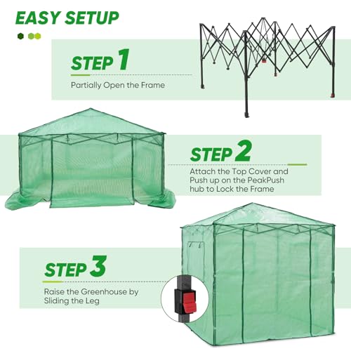 EAGLE PEAK 7x7 Easy Setup Pop Up Greenhouse, 2 Folding Shelves, Clear/Green - color: Clear/Green, size: 7x7