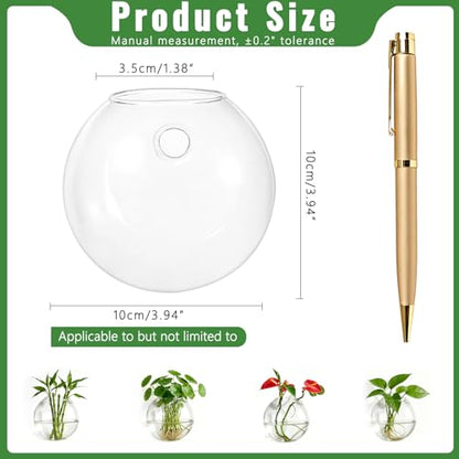 NUPTIO Glass Wall Hanging Planters: Propagation Station for Plants, 6 Pcs - size: 6 Pcs