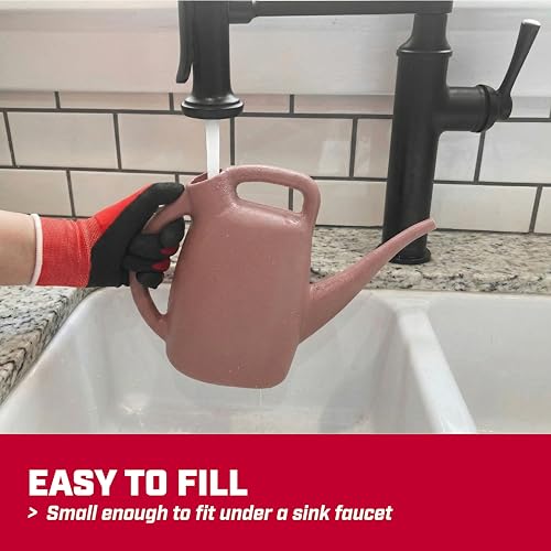CHAPIN 48008 1/2-Gallon Watering Can, Lightweight for Easy Watering - style: 0.5 Gallons, Rose