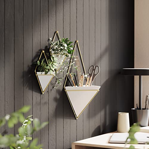 Umbra Trigg Hanging Planter for Small Plants, Large, White/Brass - color: White/Brass, size: Large