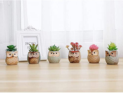 T4U Owl Succulent Pots, Mini Ceramic Gift Pots with Drainage, Retro 6 Pack - color: Owl, size: Pack of 6