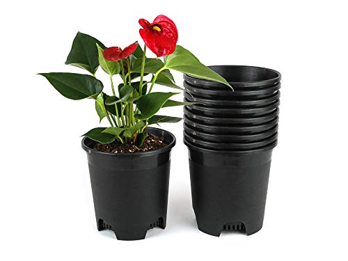 Wholesale Bulk Nursery Pot 5.5 Inch Black Plastic Planters 30-Pack 0.5 Gallon Pots for Outdoor Indoor Plants Gardening Flower with Drainage Holes - color: Black, size: 30-Pack 0.5 Gal