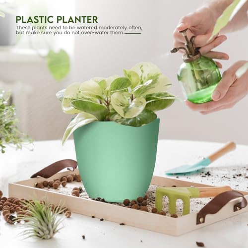 Plant Pots Indoor with Drainage, 10 Pack Multi-Size Planters Set, Mint - color: Mint, size: Pack of 10