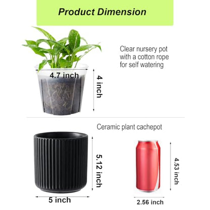 Ceramic Orchid Pot, Clear Nursery Pot & self Watering,5 inch,Black - color: Black, size: 5 inch