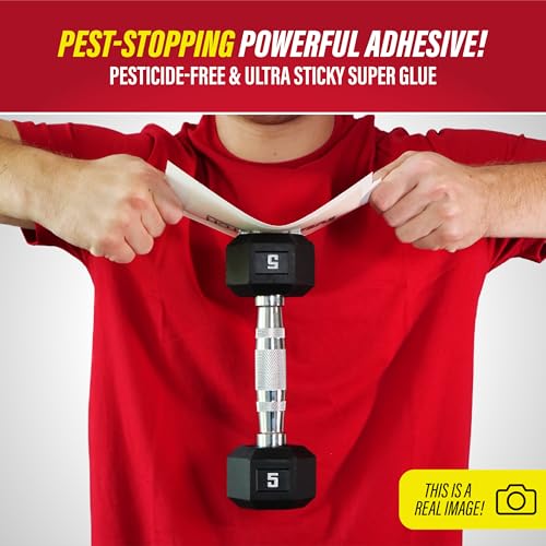 Catchmaster Max-Catch Unscented Glue Traps 72pk, Sticky Mouse Traps Indoor - style: 72-PK Unscented