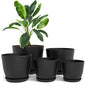 Plant Pots Indoor with Drainage, 5 Pack Multi-Size Planters Set, Black - color: Black, size: Pack of 5