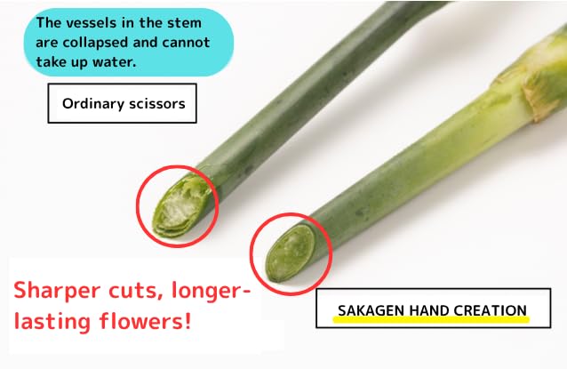 Japanese Hand Pruners - Sakagen Hand Creation, Ultra Sharp Bypass Pruning Shears for Flowers & Gardening, Made in Japan, P-180 (Moss Green) - color: Moss Green