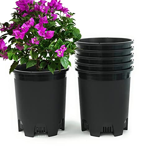 5 Gallon 20-Pack Nursery Pot Black Plastic Planters in Bulk with Drainage for Outdoor Indoor Large Plants Trees - color: Black, size: 20-Pack 5 Gal