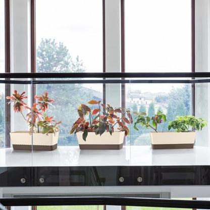 Window Box Planter with Tray, 12" Rectangle Plant Pot, Pack of 3 (Beige) - color: Beige