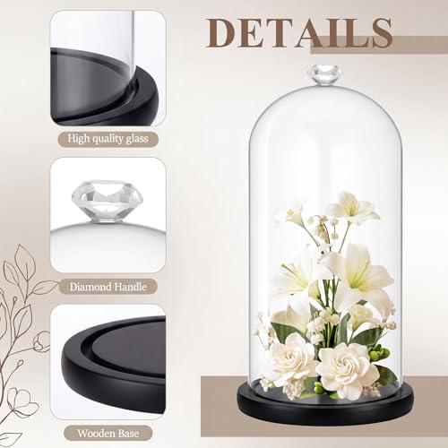 Suclain 1 Pcs Glass Cloche Dome with Wood Base Diamond Handle,Black - color: Black