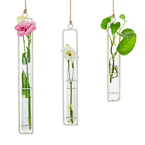 Sziqiqi Hanging Terrarium Glass Propagation Tube Vase, White, 3Pcs - color: Off-white, size: Small/Medium/Large (Set of 3)