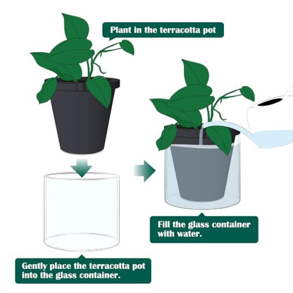 D'vine Dev Self-Watering Black Terracotta Planter, 6 in, 2-Pack, 37-Y-B-3 - color: Black, size: 6 Inch