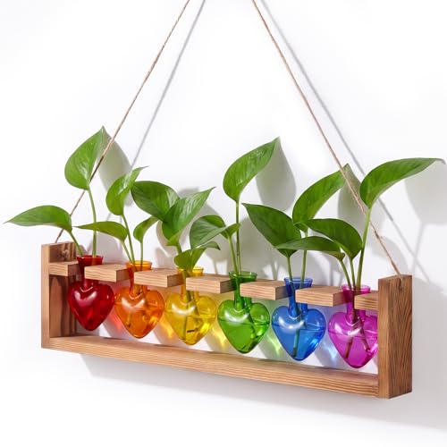 Remerry Rainbow Party Decoration Colorful Plant Terrarium with Wooden Stand 6 Heart Glass Vases Planter Propagation Station Tabletop Planter for Hydroponics Decor Plant Lover Gift - color: Rainbow, size: 6 Heart Vases, style: Hanging Heart