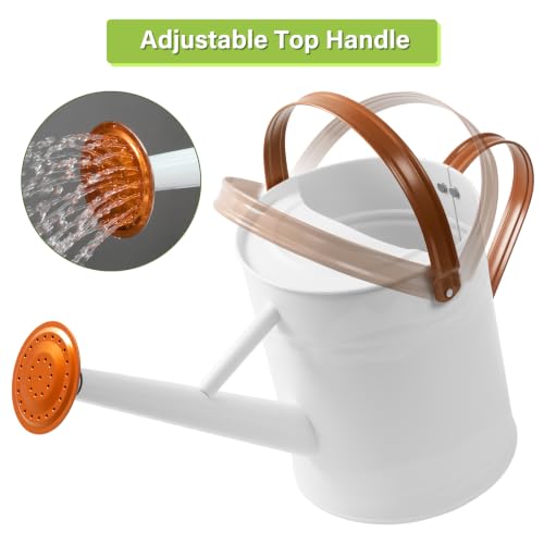 1 Gallon Watering Can for Outdoor&Indoor Plants，White - color: White