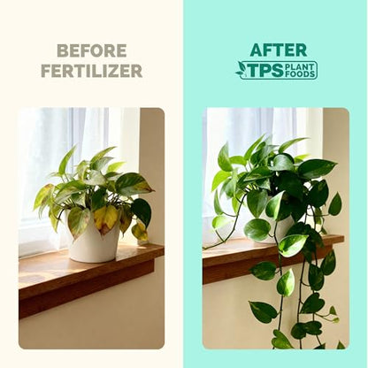Indoor Plant Food, Complete Liquid Fertilizer for Houseplants, 32oz - size: 32 oz (1 Quart)