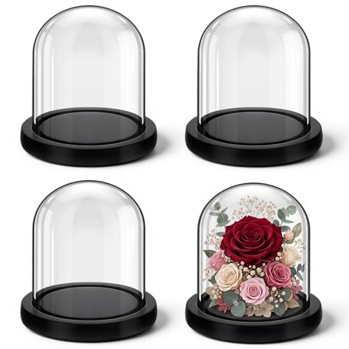Suclain 4Pc Glass Dome Cloche with Wood Base, Black, 4.3" X 3.8" - color: Black, size: 4.3" X 3.8"