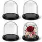 Suclain 4Pc Glass Dome Cloche with Wood Base, Black, 4.3" X 3.8" - color: Black, size: 4.3" X 3.8"