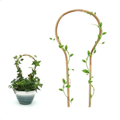 COLOtime 3Pack Small Plant Trellis Bamboo Trellis for Indoor Potted Plants - size: Round shaped, 3 Pack