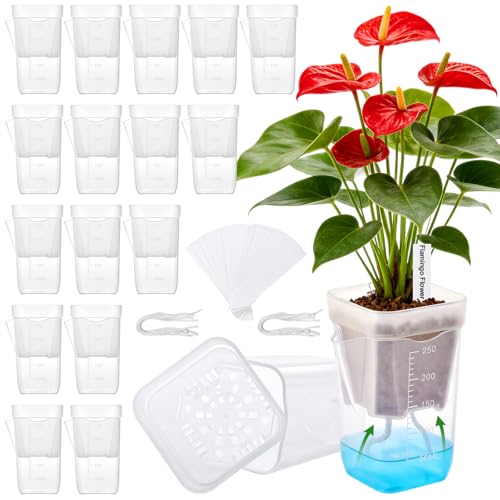 2.5" Clear Self Watering Pots for Indoor Plants,16PCS Mini Plastic Nursery Planters with Water Level Indicator & Drainage Holes for Propagation,Succulents,Seedling,African Violet,Plant Labels - size: 2.5 Inch