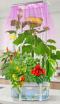 Tall Hydroponics Growing System kit with Height Adjustable Light & Trellis