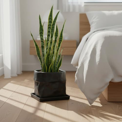 Nihow 8 Inch Ceramic Plant Pot with Drainage & Square Saucer,Black - color: Black, size: 8 Inch