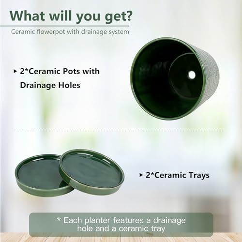 BUYMAX 6 Inch Plant Pot Ceramic Flower Pots Set of 2 with Drainage Hole - color: Patina